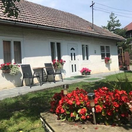 Отель Casuta Sanatatii Ковасна Экстерьер фото